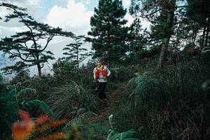 BIB: 
                            <button type="button" onclick="openModal(25260683)" class="btn btn-primary btn-sm float-right btn-popup" data-toggle="modal" data-target=".modal-high-quality">
                        <i class="fas fa-shopping-cart"></i> Add to Cart
                    </button>
                                            <button type="button" onclick="isThisMe(25260683, true)" class="btn btn-success btn-sm float-right btn-popup btn-isme hidden" data-toggle="tooltip" data-placement="bottom" title="นี่คือรูปของคุณใช่ไหม คลิกที่นี่เพื่อเอาเข้าอัลบั้ม">
                        <i class="fas fa-plus"></i> Add to album
                    </button>
                    <button type="button" onclick="isThisMe(25260683, false)" class="btn btn-warning btn-sm float-right btn-popup btn-isnotme hidden">
                        <i class="fas fa-ban"></i> Remove from album
                    </button>